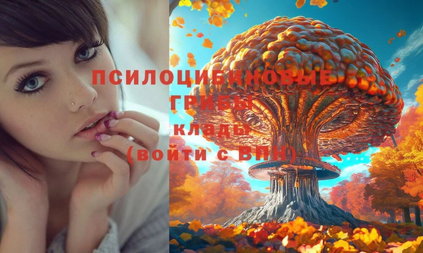спайс Горно-Алтайск