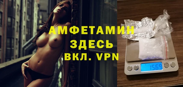 крисы Горняк