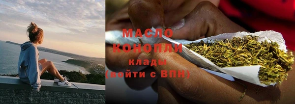крисы Горняк