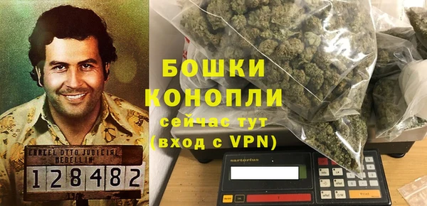 крисы Горняк