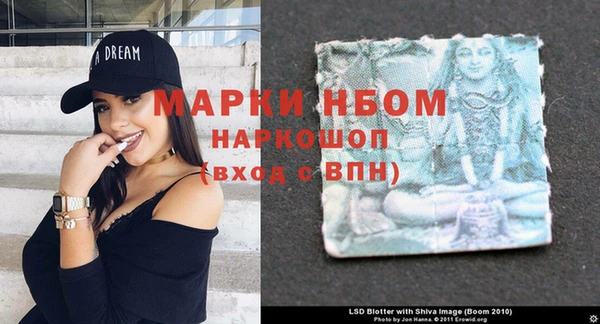 крисы Горняк