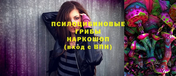 крисы Горняк