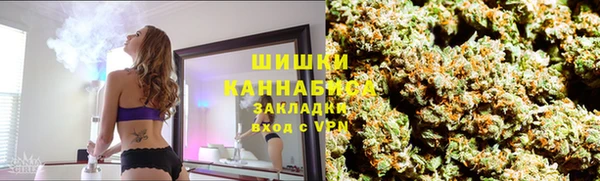крисы Горняк