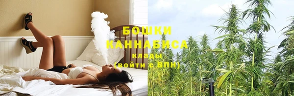 крисы Горняк